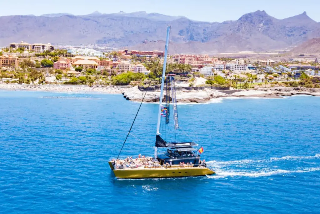 Freebird Whale Watching Costa Adeje – 2 Hour Catamaran Trip