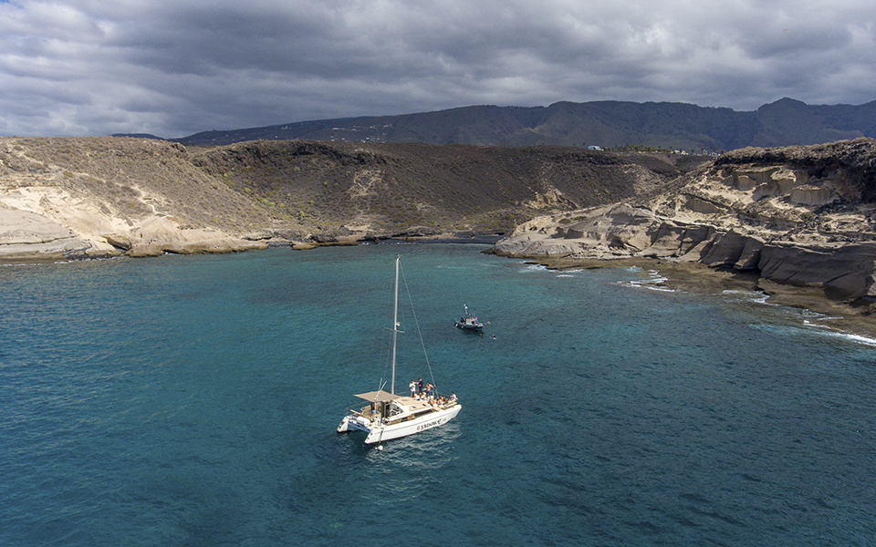 Kalima Kat Catamaran Excursion & Whale Watching in Tenerife 3