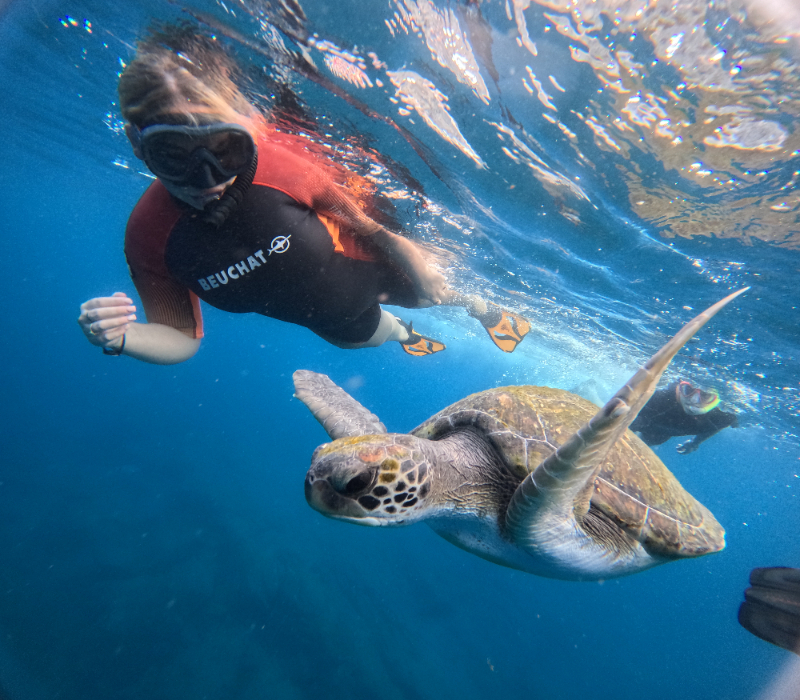 Bautismo de Buceo en Tenerife desde Puerto Colón 3
