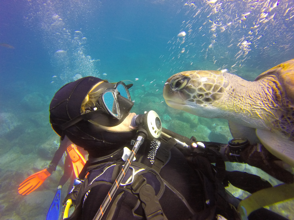 Bautismo de Buceo en Tenerife desde Puerto Colón 5